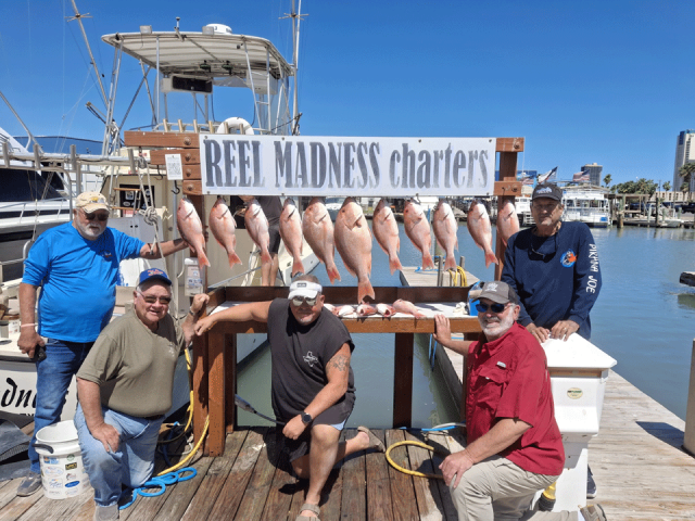 Got our Limit of Texas Red Snapper