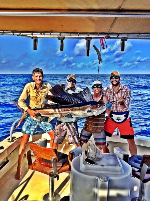 South Padre Sailfish