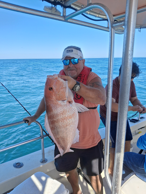 Texas state water red snapper