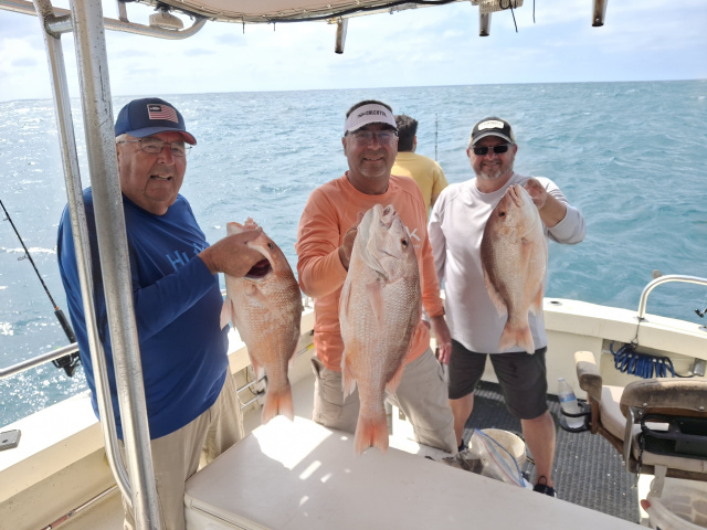Nice state water snapper