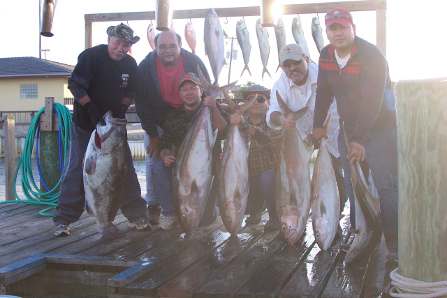 Big amberjacks and warsaw grouper