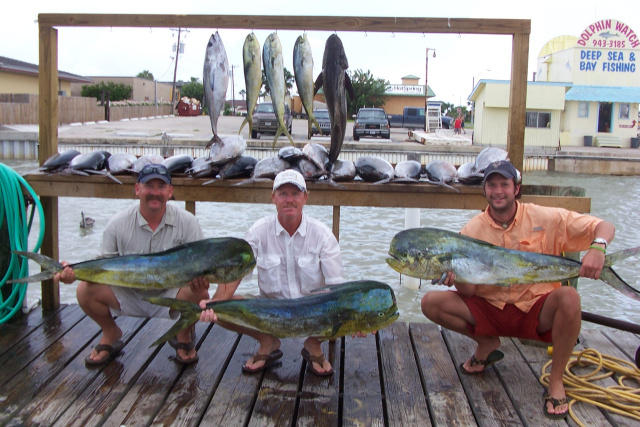 Texas Dorado