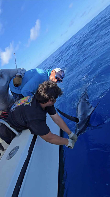 Fishing South Padre Island