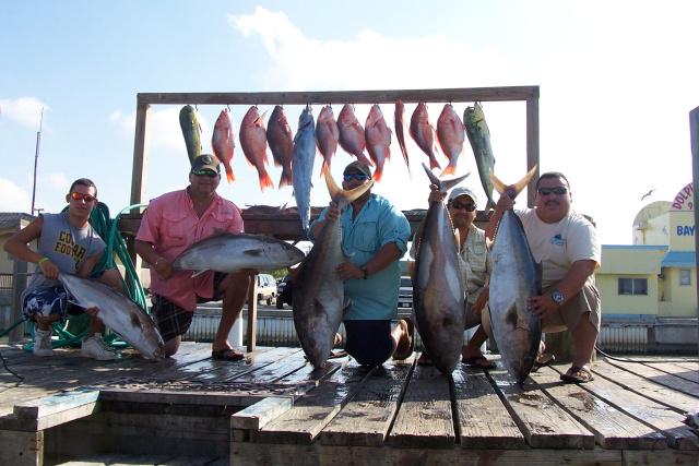 Amberjacks in South Padre