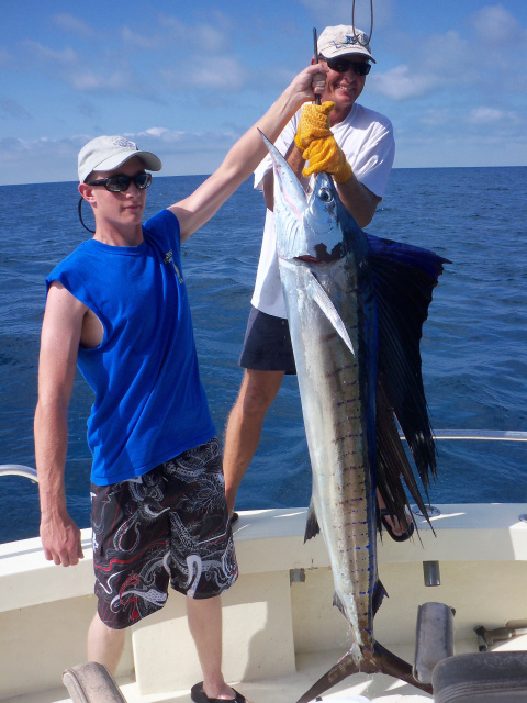 Sailfish South Padre sportfishing