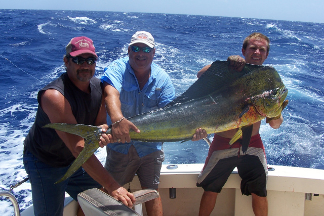 South Padre Sport Fishing - Texas Dorado