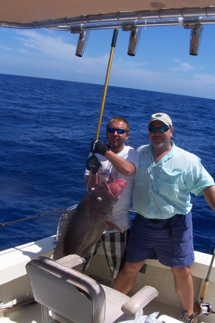 South Padre Island Warsaw Grouper