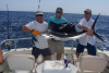 South Padre Sailfish